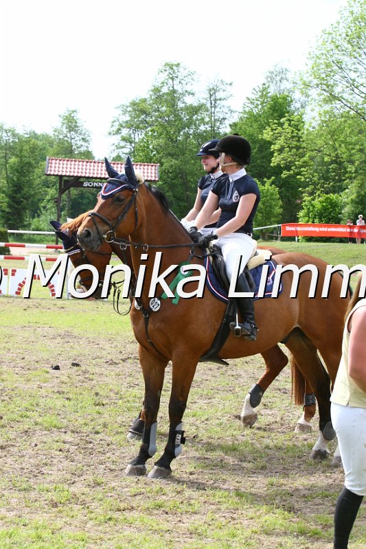 204M6653_Spring Mx.JPG